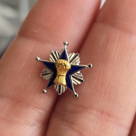 Vintage Grange Pin Grange of the Order of Patrons of Husbandry Pinback - Picture 3 of 6